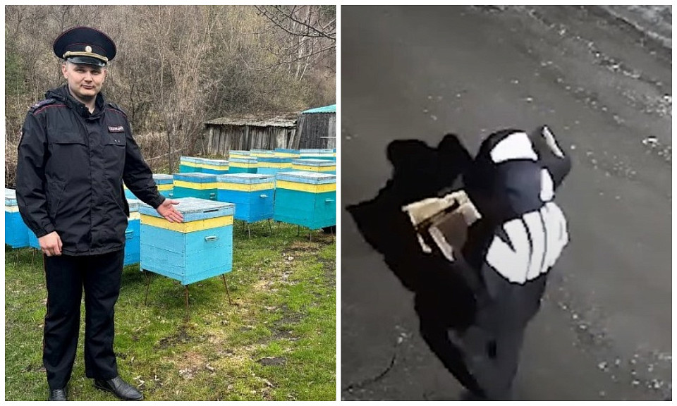 Подростки-спортсмены из Новосибирска украли улей с пчёлами в Белокурихе